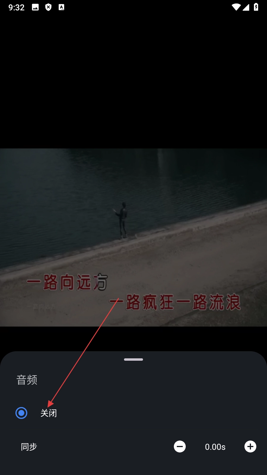 成功关闭音频后的提示界面：屏幕中央弹出半透明Toast提示‘音频已关闭’，持续2秒后自动消失，不影响视频继续播放