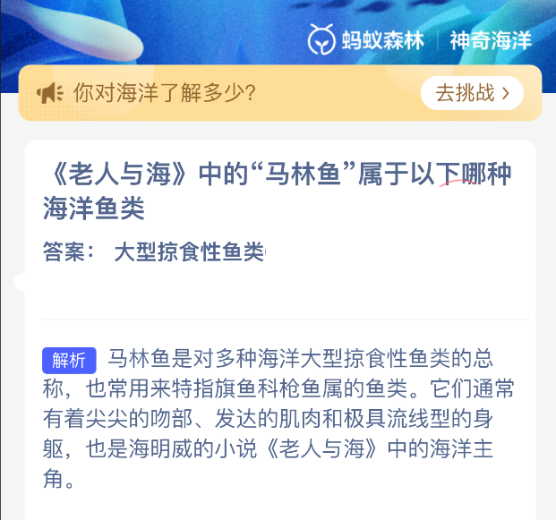 高清海洋生物摄影：一条成年蓝枪鱼跃出海面瞬间，金属蓝背部在阳光下泛光，长吻如矛，尾鳍呈新月形高速摆动，海水呈弧状飞散，背景为湛蓝开阔海域
