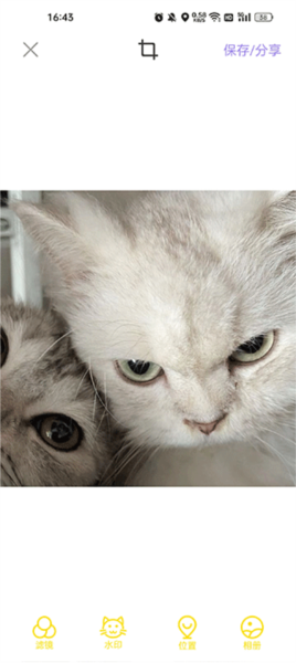 相册加密保险箱界面，深蓝色背景上浮现半透明爪印密码盘，中央显示‘已保护12张隐私照片’提示语