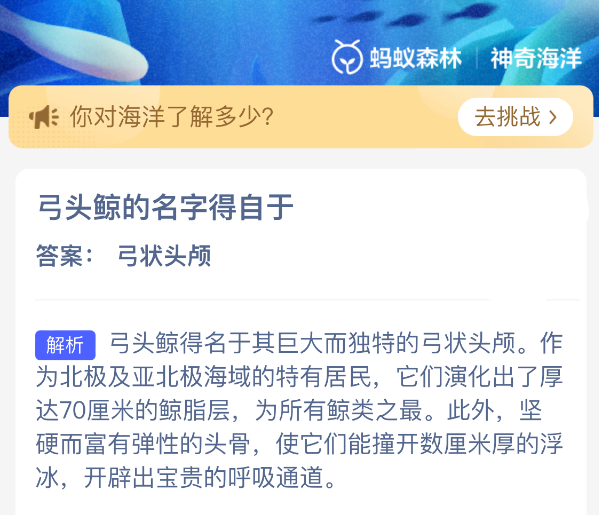 支付宝神奇海洋答题界面截图：手机屏幕上显示‘弓头鲸的名字得自于？’题目，下方三个选项被遮盖，右侧高亮显示绿色对勾与‘弓状头颅’答案，顶部有海洋波纹动效与鲸鱼剪影