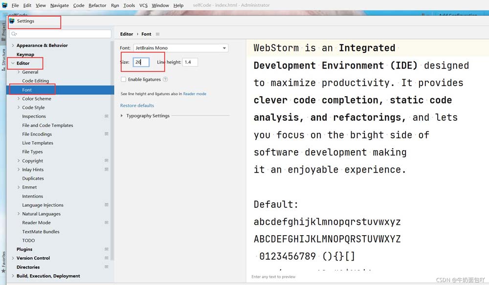 WebStorm英文版设置界面截图，左侧导航栏高亮显示Editor > Font选项，右侧Size输入框中数值为14，界面布局简洁专业