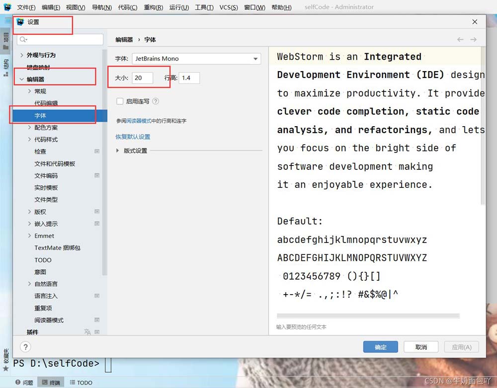 WebStorm中文版字体设置界面，顶部菜单栏显示‘文件-设置’，中间区域突出‘编辑器-字体’路径，大小滑块处于15位置