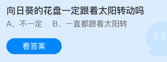 向日葵不同生长阶段对比示意图：左侧为幼嫩花苞期，茎秆弯曲明显，花盘随太阳轨迹由左向右偏移；右侧为成熟花盘期，茎秆笔直挺立，所有花盘统一朝向画面左侧（东方），背景为晨曦微光