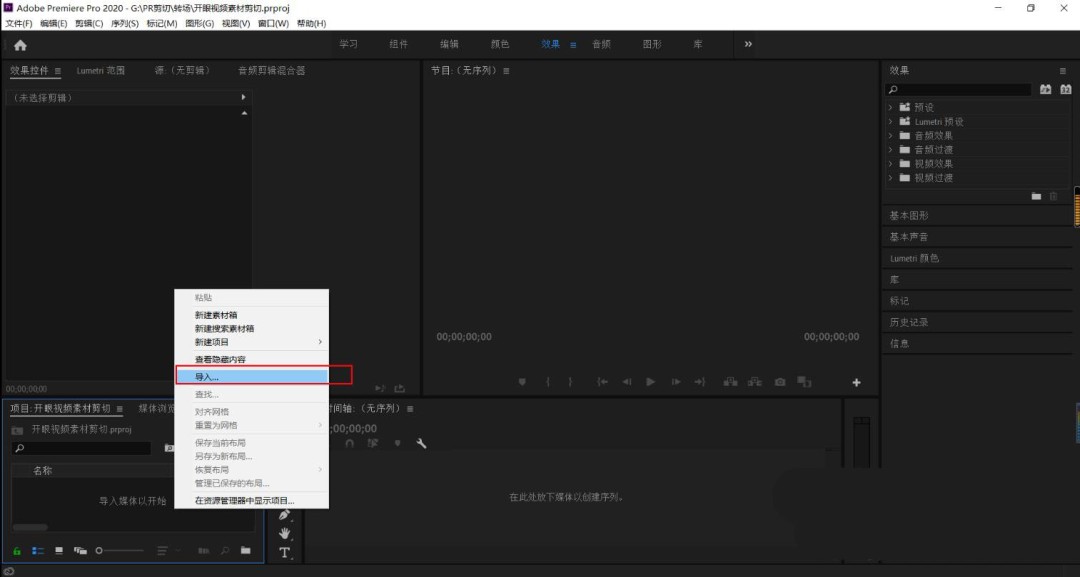 Premiere 2020主界面截图，左侧为素材库，中央为时间轴，右侧为预览窗口，界面布局清晰专业