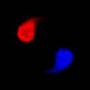 冰与火之舞mac版 v2.6.3