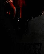 《新世界：暗影成双》demo