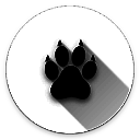 Amarok 官方安装入口 V0.8.2b4