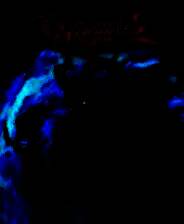 《龙与地下城：无冬之夜2 增强版》游戏库