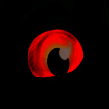 诅咒之岛 无限钻石金币版 V0.9.8.9.9