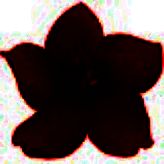 小红花直播音效助手官网版