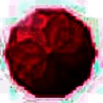 荔枝直播助手v1.2.4