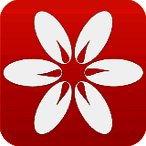 米侠浏览器 V2.99