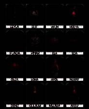 《速配约会》免安装中文版