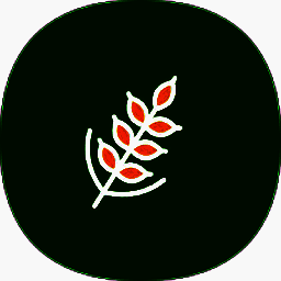 麦子下载 官方最新版 V3.0.4