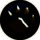 魔兽大脚插件电脑版