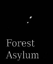 《森林疯人院2》官方版