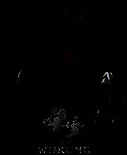 《黑神话：悟空》无HUD效果MOD