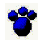 打字高手最新版