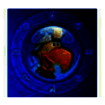 展翅鸟家长控制软件v30.4.1.30