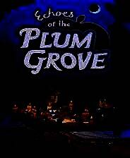 《梅林回响》免安装中文版