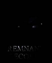 《残存记录》官方版