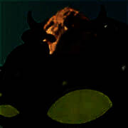 植物大战僵尸新指导版 有锤子 V0.17