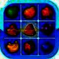 欢乐水果连连看 最新版 V1.1.8