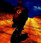 狂野摩托竞速 最新版本 V1.0