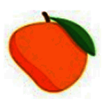 芒果云接码平台v1.0