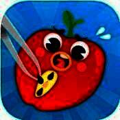 水果美容大师 V1.0