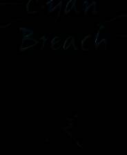 《青隙危机》demo