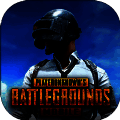 PUBG MOBILE 国际服官网版 V2.4.1