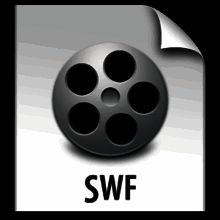 Acoobee FLV to SWF Converter