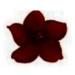 小红花直播音效助手网页版