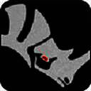 犀牛Rhinoceros 6 mac版 v6.31.20315中文TNT直装版