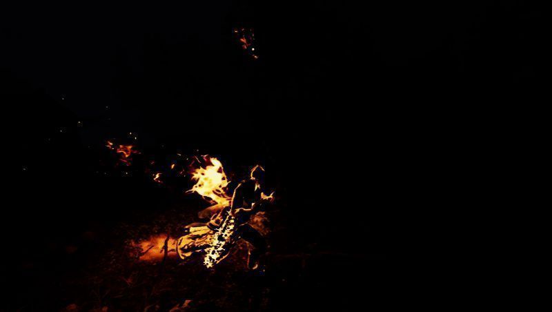 《道谓何》游戏库