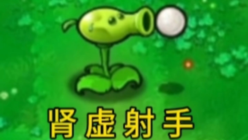 《植物大战僵尸逆天版》中文版