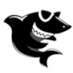 黑鲨装机大师标准版