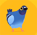 pigeonpop 官网中文版 V1.2.5