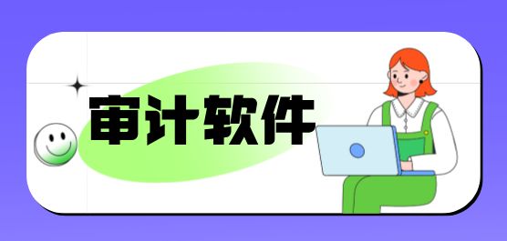 审计软件合集