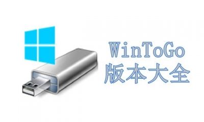 WinToGo版本大全