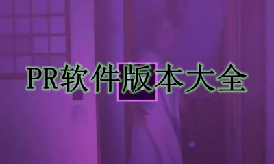 PR软件版本大全