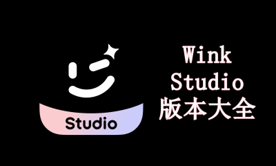 WinkStudio版本大全